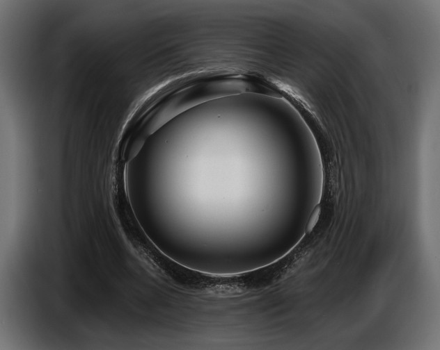 X0000087680536200705041030