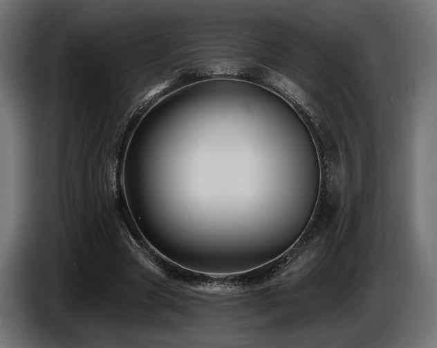 X0000087680537200705041030