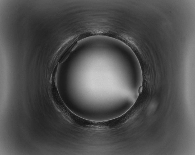 X0000087680539200705041030