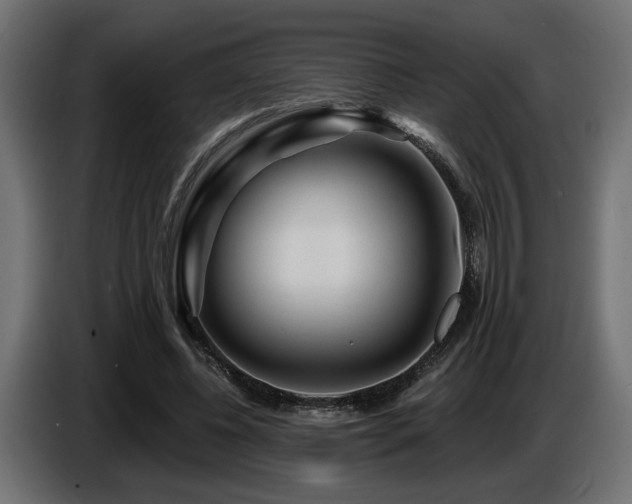 X0000087680540200705041030