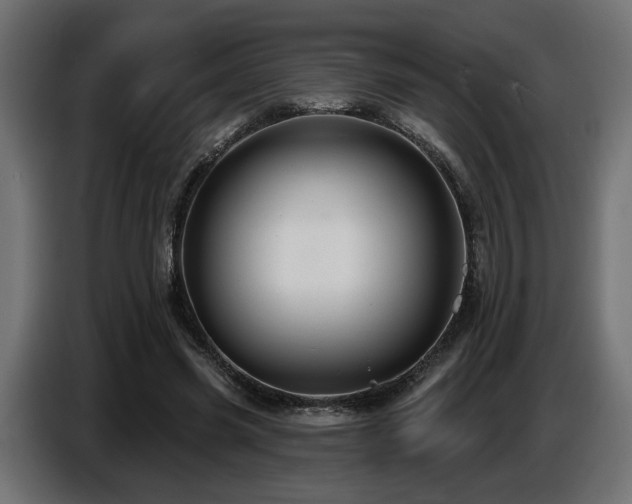 X0000087680541200705041030