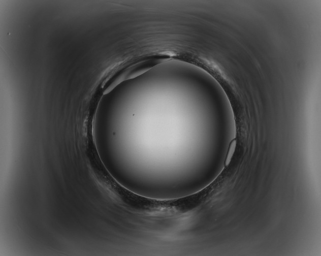 X0000087680543200705041030