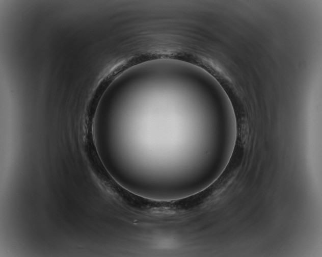 X0000087680544200705041030