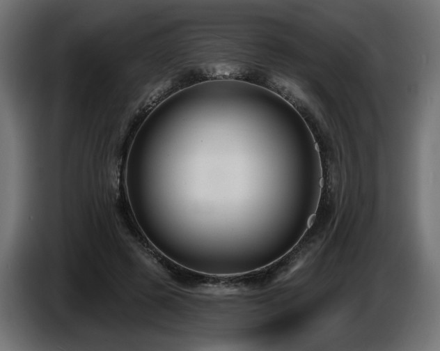 X0000087680545200705041030