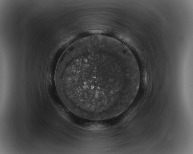 X0000087680547200705041030