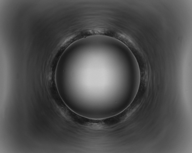 X0000087680548200705041030