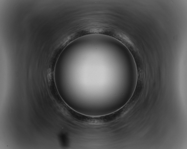 X0000087680549200705041030