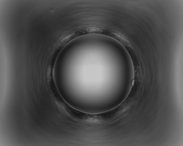X0000087680550200705041031