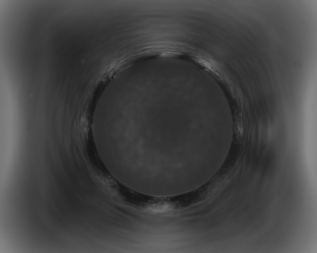 X0000087680551200705041031