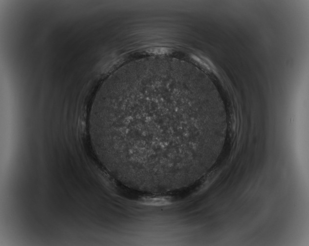 X0000087680553200705041031
