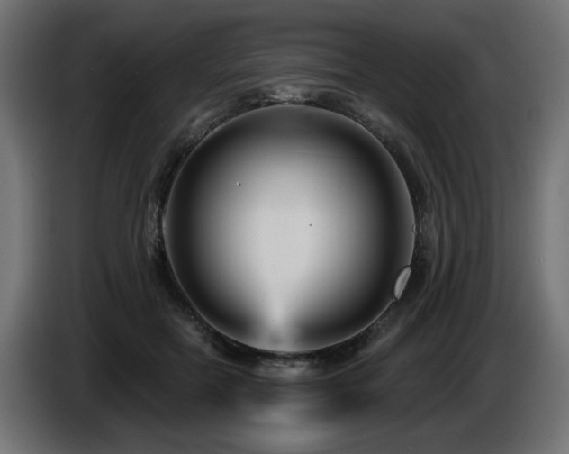 X0000087680554200705041031