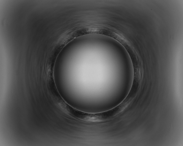 X0000087680557200705041031