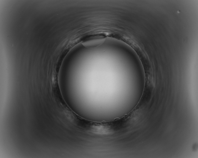 X0000087680561200705041031