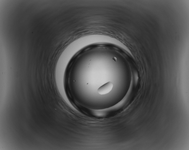 X0000087680562200705041031