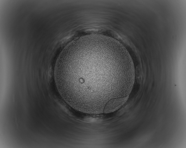 X0000087680563200705041031