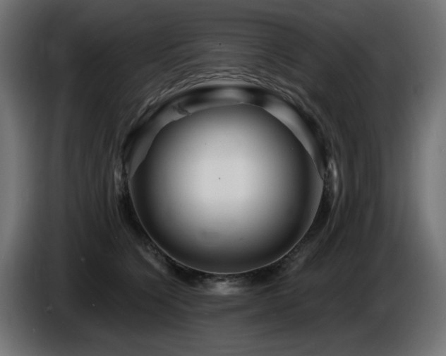 X0000087680564200705041031
