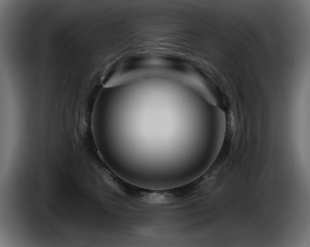 X0000087680566200705041031