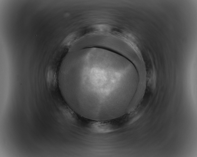 X0000087680568200705041031