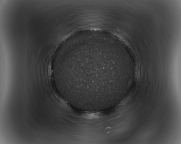 X0000087680569200705041031