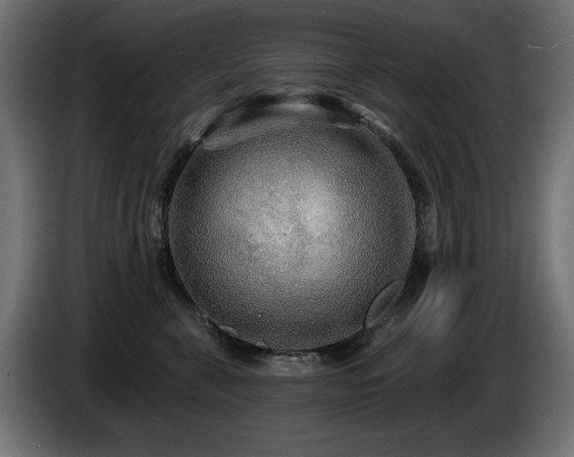 X0000087680571200705041031