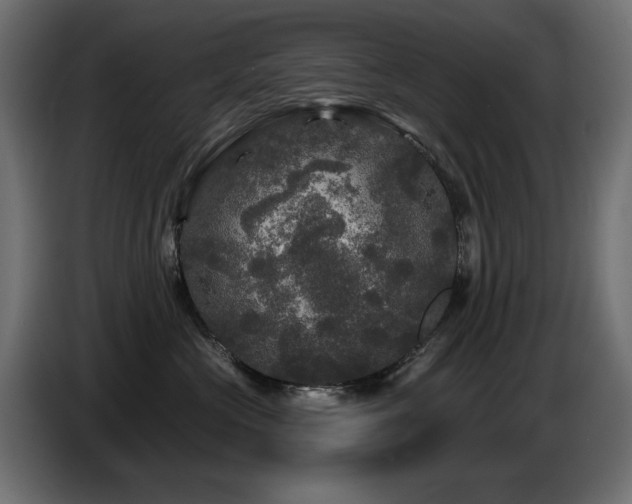 X0000087680573200705041031