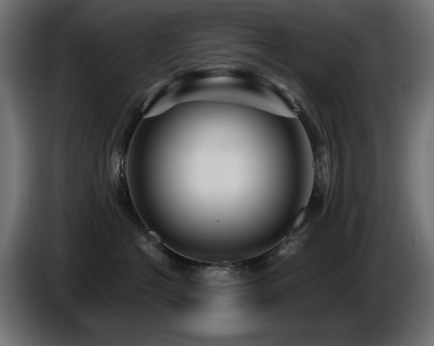 X0000087680574200705041031