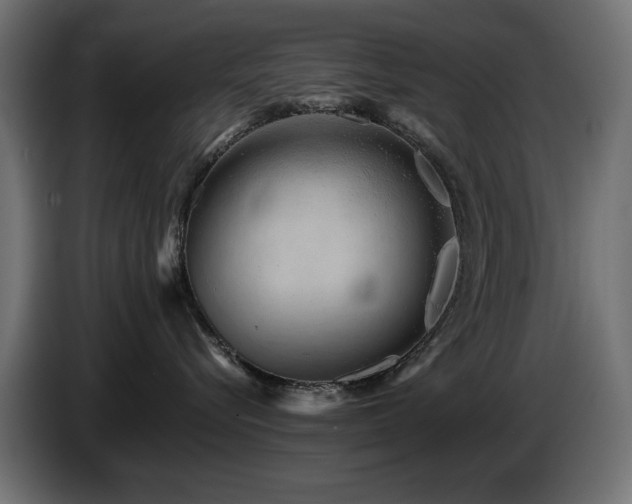 X0000087680576200705041031