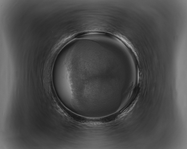 X0000087680577200705041030