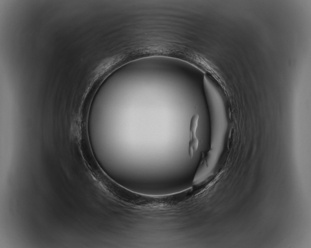 X0000087680578200705041030