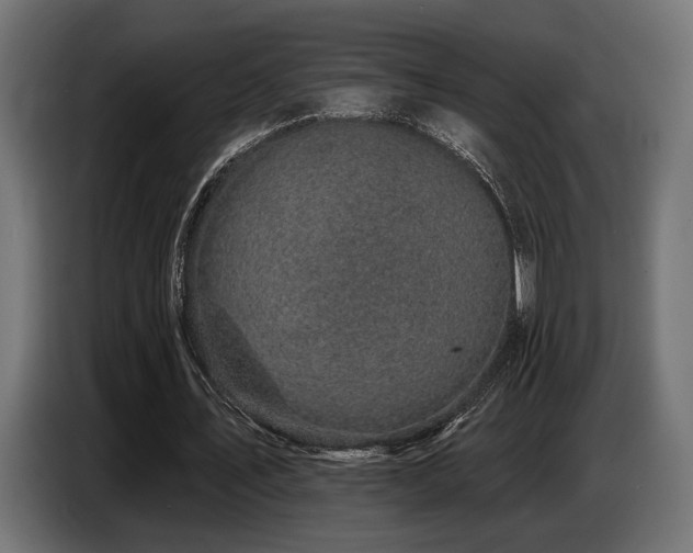 X0000087680579200705041030