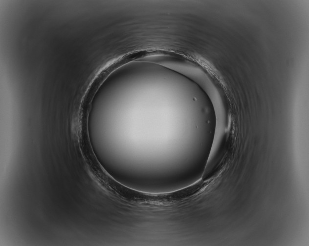 X0000087680580200705041030