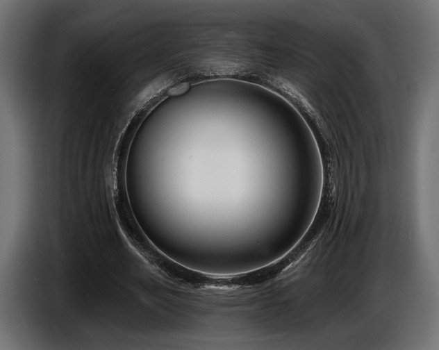 X0000087680582200705041030
