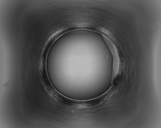 X0000087680583200705041030
