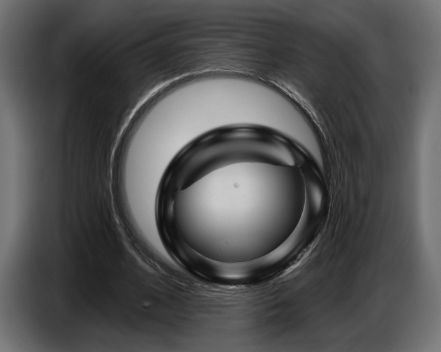 X0000087680584200705041030