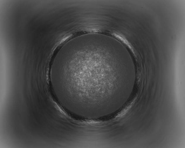X0000087680585200705041030
