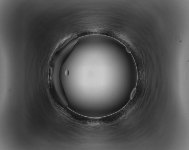 X0000087680587200705041030