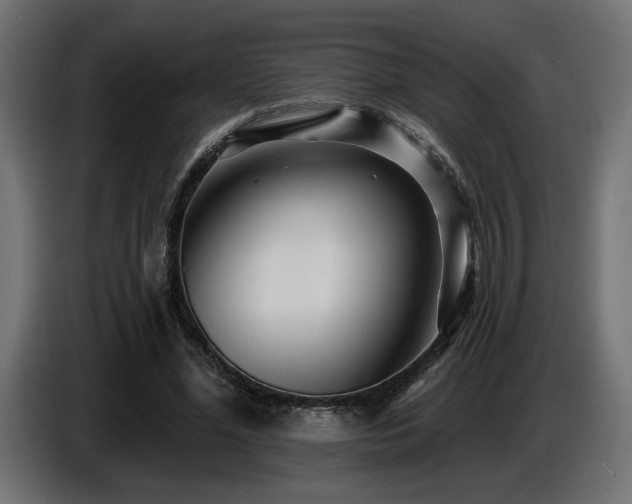 X0000087680588200705041030