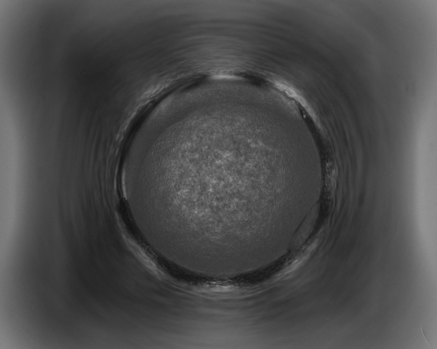 X0000087680589200705041030