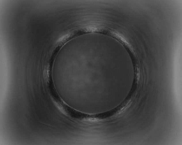X0000087680590200705041030