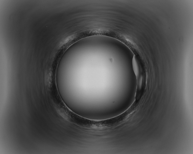 X0000087680591200705041030