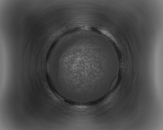 X0000087680593200705041030