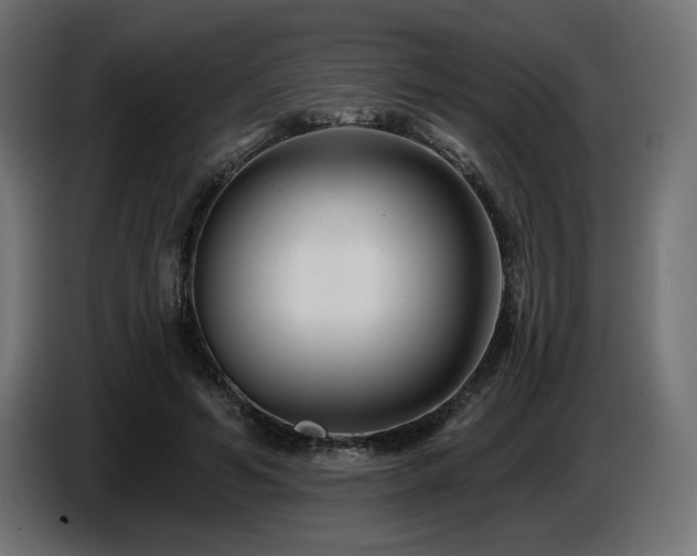 X0000087680594200705041030
