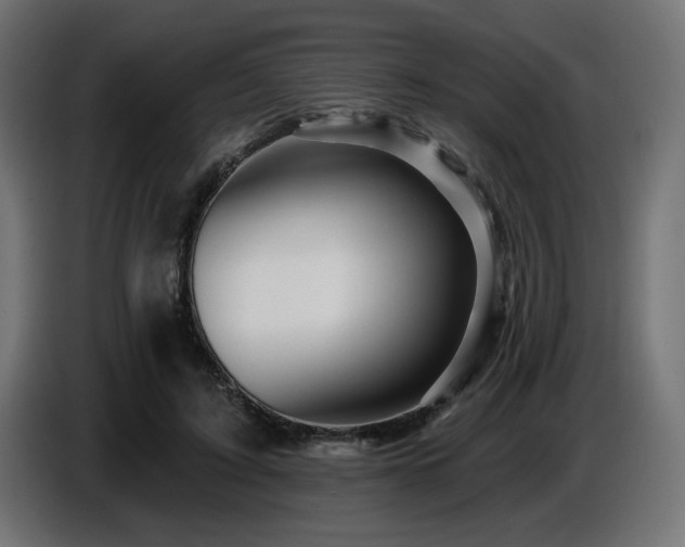 X0000087680595200705041030