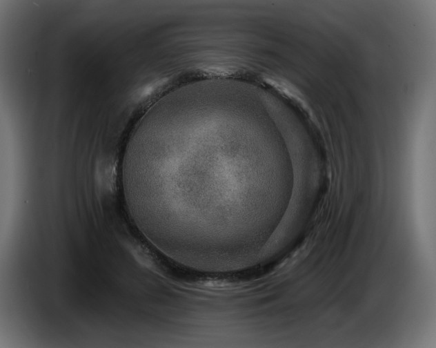 X0000087680596200705041030