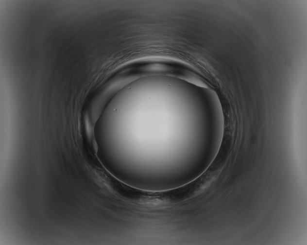X0000087680597200705041030