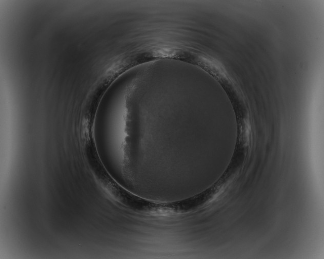 X0000087680598200705041030