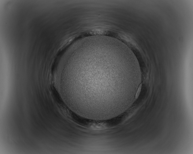 X0000087680599200705041030