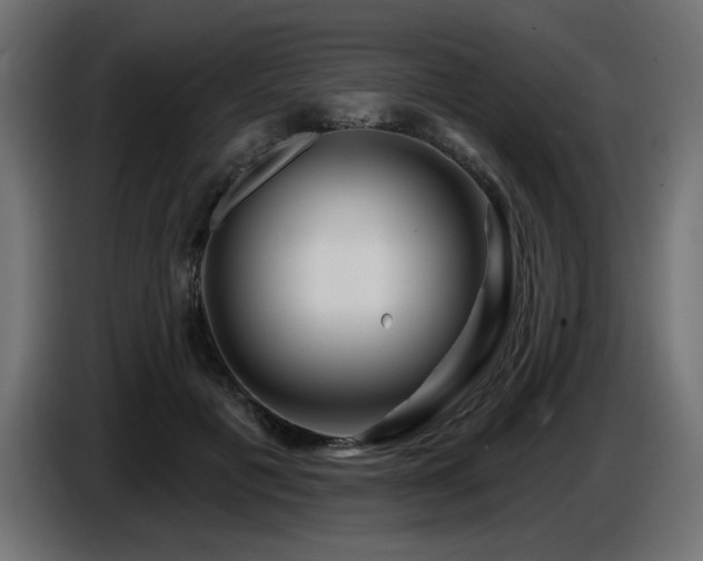 X0000087680601200705041030