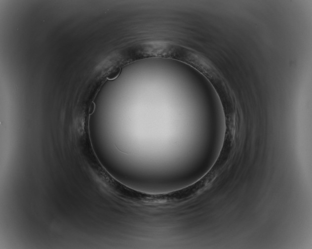 X0000087680602200705041030