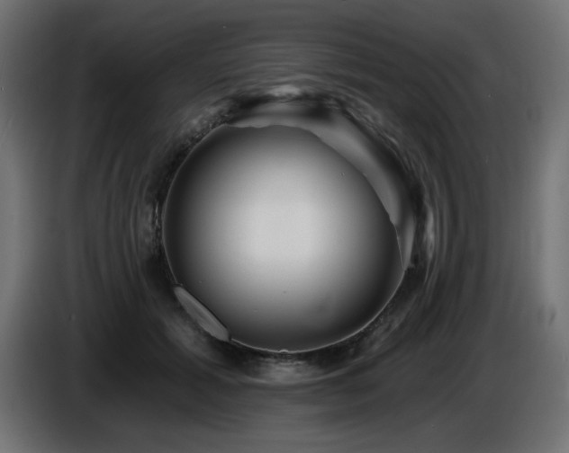 X0000087680605200705041030